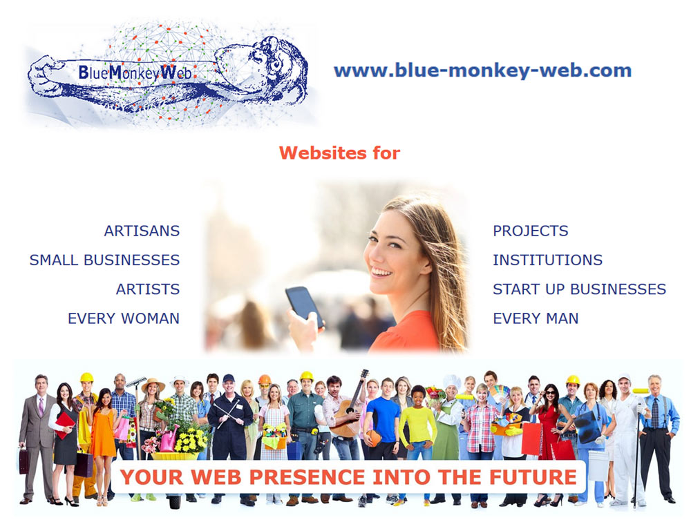 Partner Link Blue Monkey Web, opens in new window